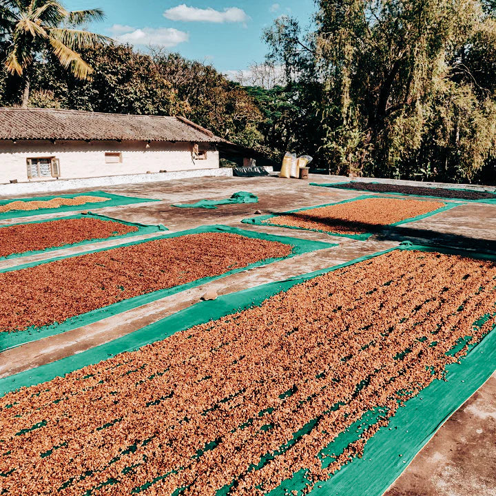 India - Crystal Valley - Honey