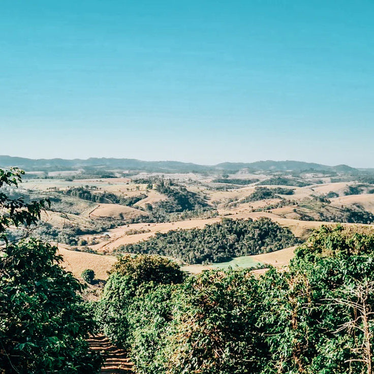 Brazil - Sítio Maranhão - Experimental